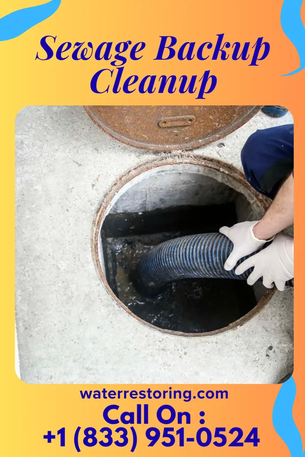 Sewage Backup Cleanup in Petersburg, IN