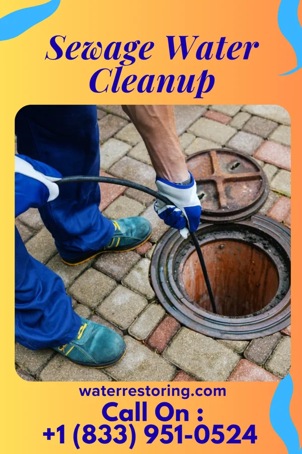 Sewage Water Cleanup in Petersburg, IN