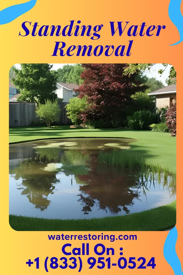 Standing Water Removal in Petersburg, IN